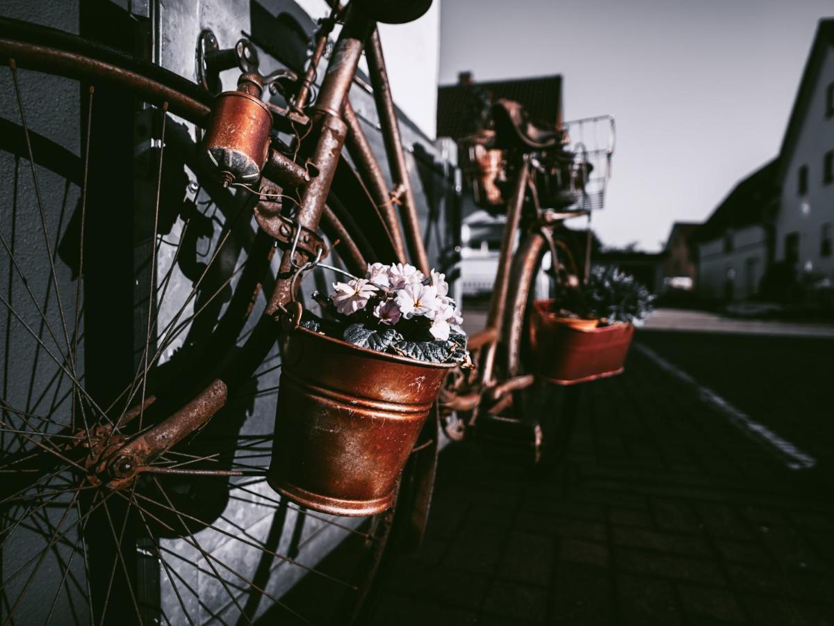 Gaestehaus J. Baumann Rust Luaran gambar